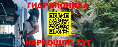 ГАЛЛЮЦИНОГЕННЫЕ ГРИБЫ Пыть-Ях