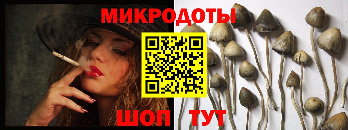 купить  цена  Вход с VPN  Серпухов  Галлюциногенные грибы ЛСД  Галлюциногенные грибы прущие грибы 