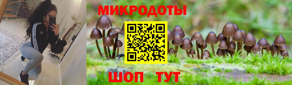 Галлюциногенные грибы прущие грибы Серпухов
